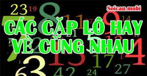 Các cặp lô hay về cùng nhau của cầu kèo miền bắc chính xác nhất